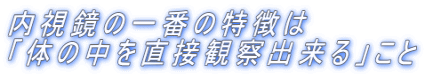 内視鏡の一番の特徴は 「体の中を直接観察出来る」こと